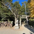 実際訪問したユーザーが直接撮影して投稿した斎宮神社竹神社の写真