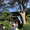 実際訪問したユーザーが直接撮影して投稿した深大寺元町そば深水庵の写真