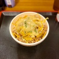 牛丼並 - 実際訪問したユーザーが直接撮影して投稿した天神牛丼すき家 長岡天神駅前店の写真のメニュー情報