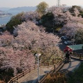 実際訪問したユーザーが直接撮影して投稿した黄金山町山 / 峠黄金山の写真