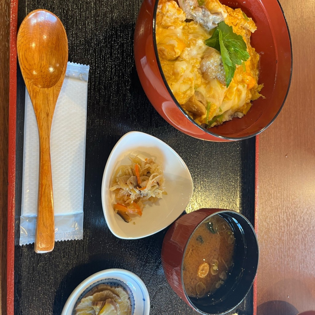 ユーザーが投稿した親子丼 小鉢付の写真 - 実際訪問したユーザーが直接撮影して投稿した角館町うどん町家館かくのだ亭の写真