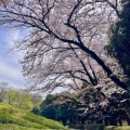 実際訪問したユーザーが直接撮影して投稿した池尻公園世田谷公園の写真