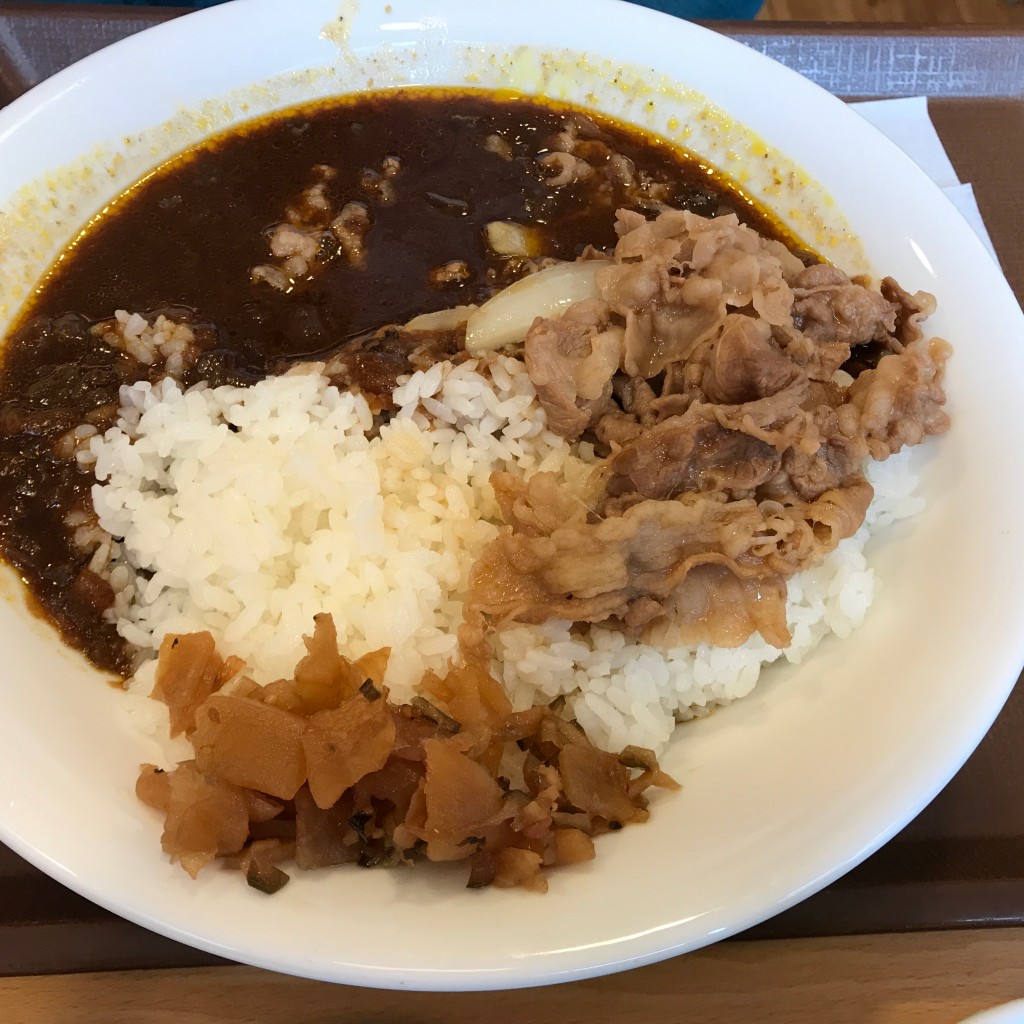 ユーザーが投稿したカレーの写真 - 実際訪問したユーザーが直接撮影して投稿した潮江牛丼すき家 JR尼崎駅北口店の写真