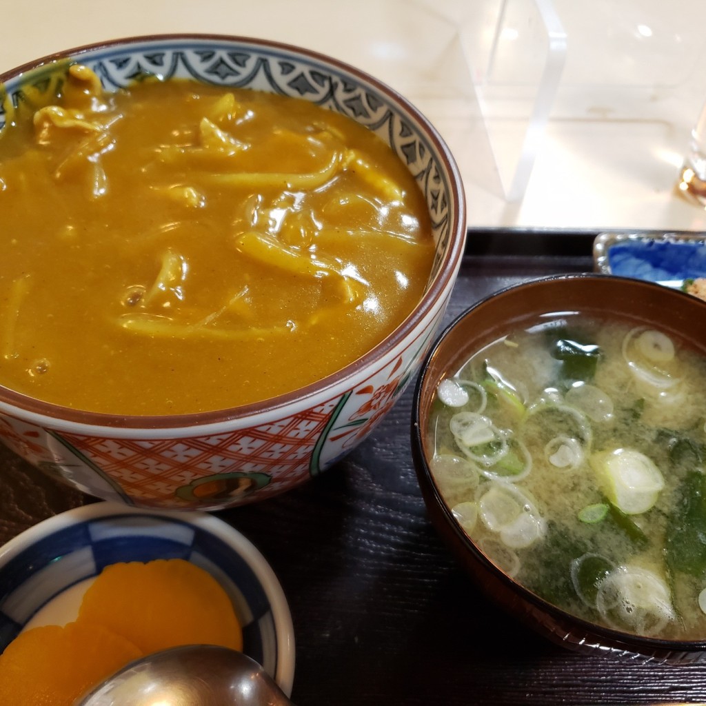 ユーザーが投稿したカレー丼の写真 - 実際訪問したユーザーが直接撮影して投稿した睦町うどん東京庵の写真