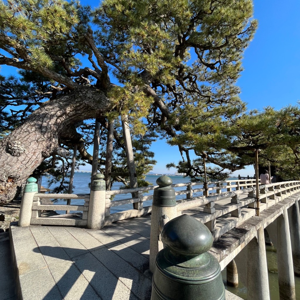 実際訪問したユーザーが直接撮影して投稿した地域名所浮御堂の松の写真