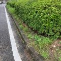 実際訪問したユーザーが直接撮影して投稿した鹿山公園鹿山街園の写真