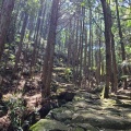 実際訪問したユーザーが直接撮影して投稿した木本町山 / 峠松本峠の写真