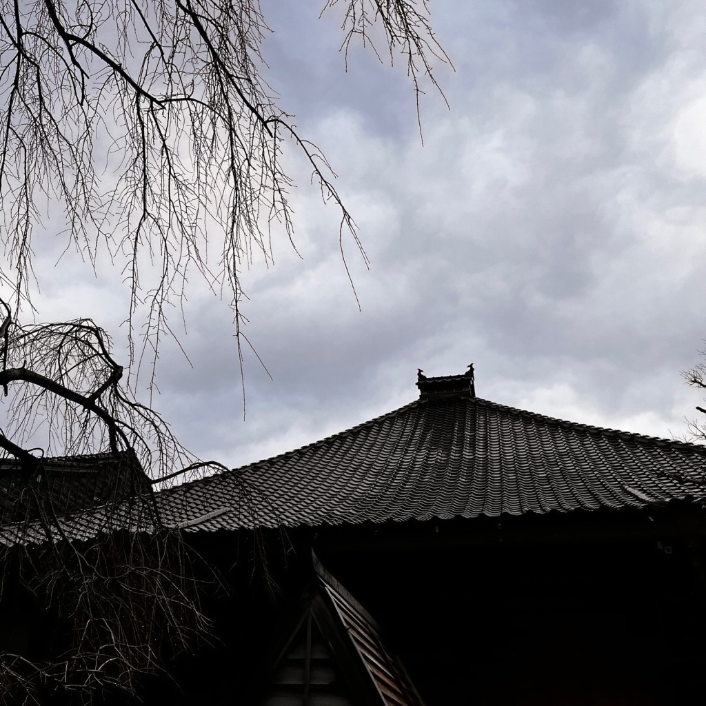 LINE-マークルンさんが投稿した野町寺のお店妙立寺/ミョウリュウジの写真