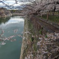 実際訪問したユーザーが直接撮影して投稿した河川南外濠の写真