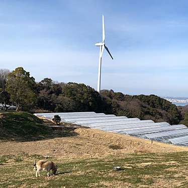 uran123さんが投稿した野島常盤カフェのお店グリナリウム 淡路島/GREENARIUM awajishimaの写真