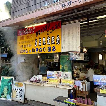 実際訪問したユーザーが直接撮影して投稿した水前寺公園和菓子はやしのいきなり団子の写真