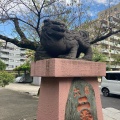 実際訪問したユーザーが直接撮影して投稿した木場神社木場洲崎神社の写真