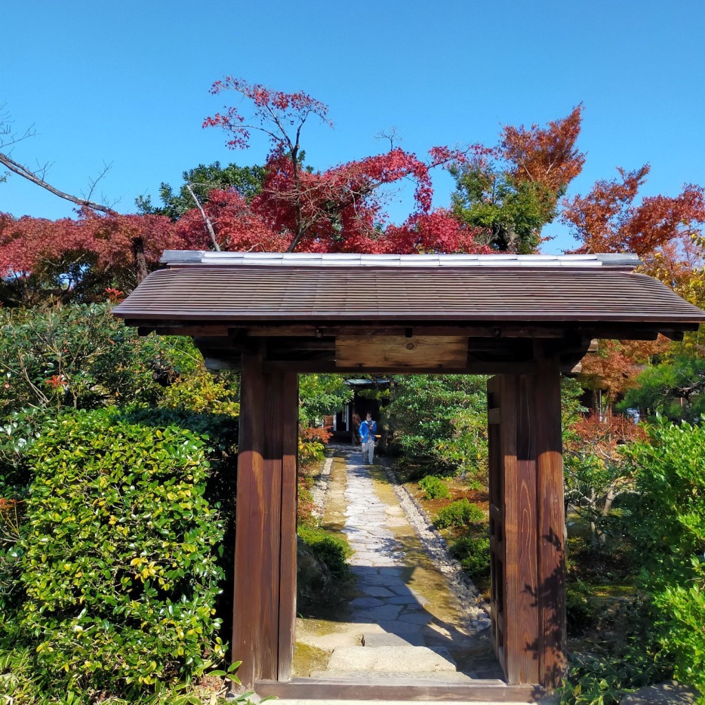 実際訪問したユーザーが直接撮影して投稿した犬山文化財日本庭園 有楽苑の写真