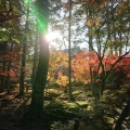 実際訪問したユーザーが直接撮影して投稿した井尻野寺宝福寺の写真