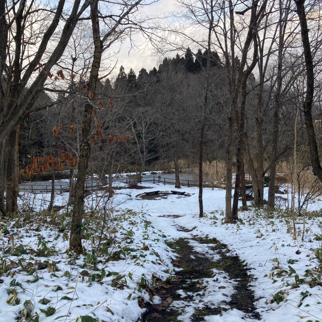 実際訪問したユーザーが直接撮影して投稿した上湯川町公園水のある森の写真