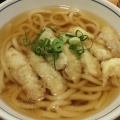 ごぼう天うどん - 実際訪問したユーザーが直接撮影して投稿した天神うどんウエスト うどん屋天神店の写真のメニュー情報