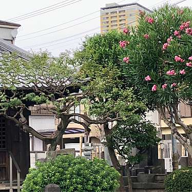 実際訪問したユーザーが直接撮影して投稿した谷中寺観音寺の写真