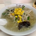 塩ラーメン - 実際訪問したユーザーが直接撮影して投稿した横川町中華料理中華こやまの写真のメニュー情報