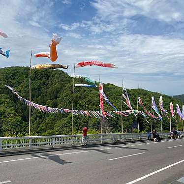 実際訪問したユーザーが直接撮影して投稿した天下野町橋竜神大吊橋の写真