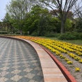 実際訪問したユーザーが直接撮影して投稿した公園町公園豊公園の写真