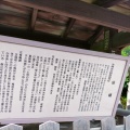 実際訪問したユーザーが直接撮影して投稿した太秦森ケ東町神社木島坐天照御魂神社の写真