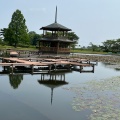 実際訪問したユーザーが直接撮影して投稿した公園大池公園の写真