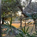 実際訪問したユーザーが直接撮影して投稿した高畑町庭園名勝旧大乗院庭園の写真