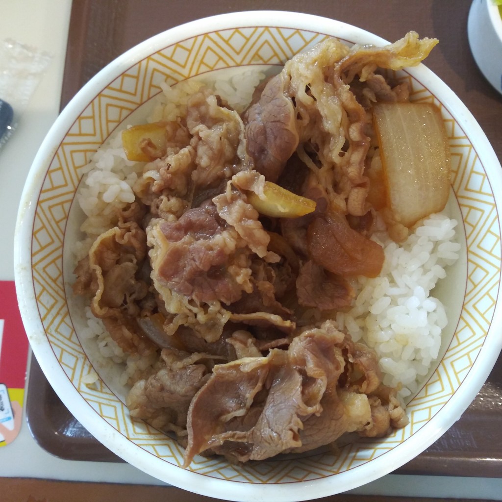 ユーザーが投稿した牛丼の写真 - 実際訪問したユーザーが直接撮影して投稿した島野町牛丼すき家 高崎IC店の写真