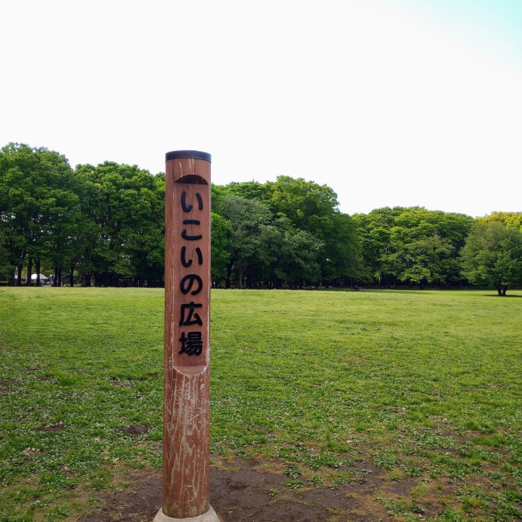 実際訪問したユーザーが直接撮影して投稿した関野町広場いこいの広場 小金井公園の写真