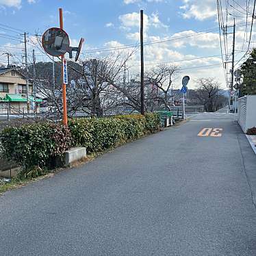 実際訪問したユーザーが直接撮影して投稿した桜町散策路桜土手の写真