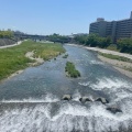 実際訪問したユーザーが直接撮影して投稿した河川鴨川の写真