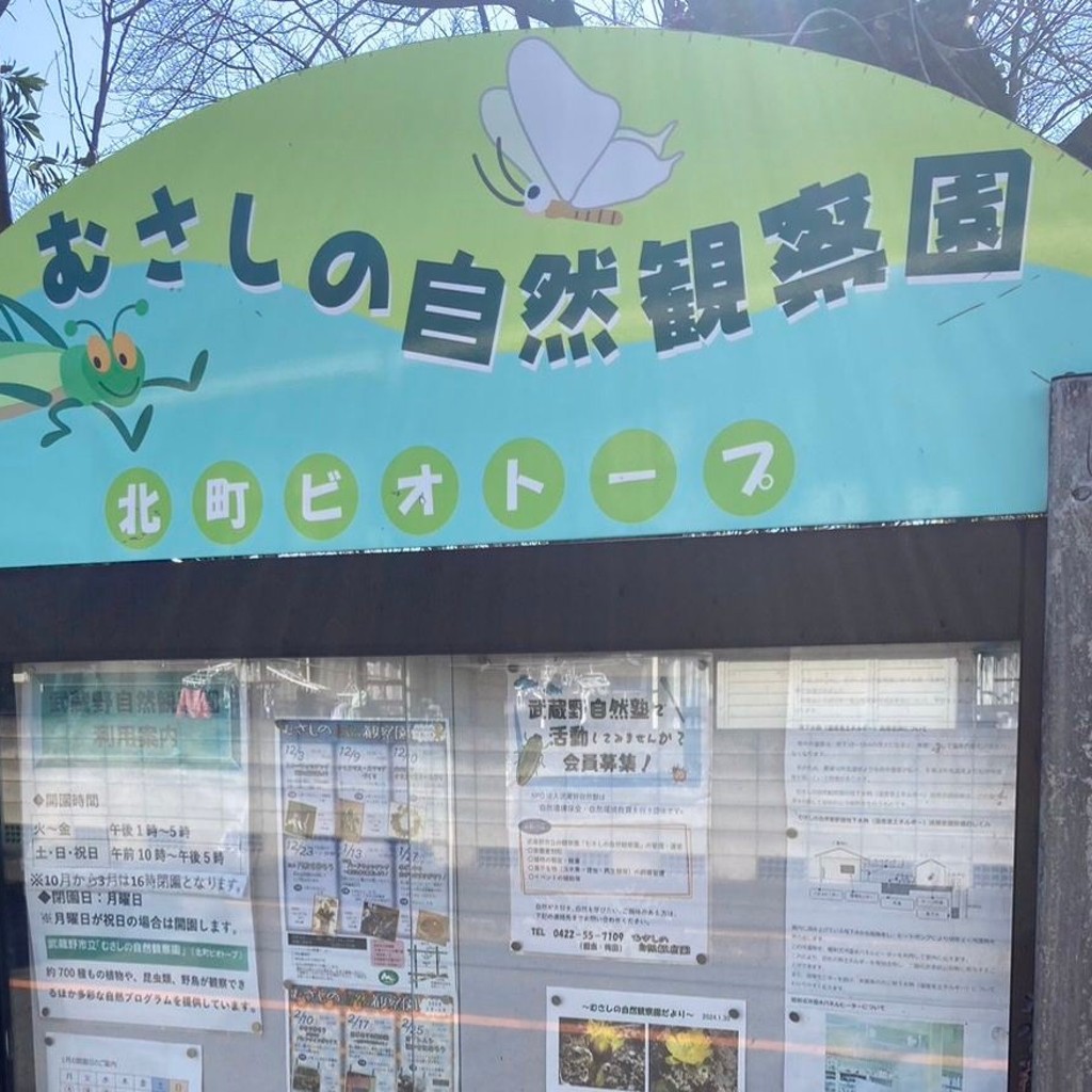 実際訪問したユーザーが直接撮影して投稿した吉祥寺北町公園むさしの自然観察園の写真