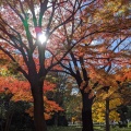 実際訪問したユーザーが直接撮影して投稿した千代田皇居 / 宮殿皇居の写真