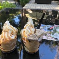実際訪問したユーザーが直接撮影して投稿した西山町日本茶専門店茶寮 五色の杜の写真
