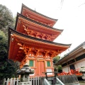 実際訪問したユーザーが直接撮影して投稿した早崎町神社竹生島神社の写真