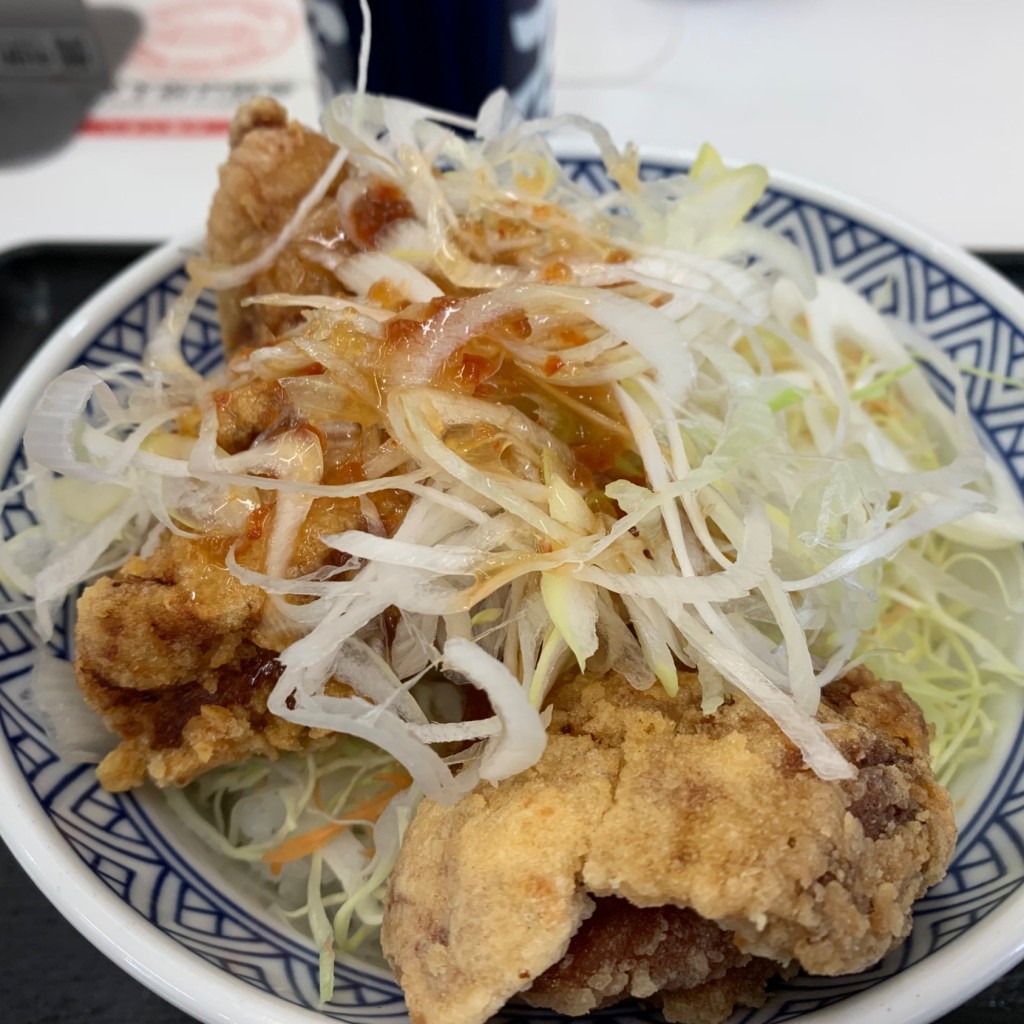 ユーザーが投稿したから揚丼の写真 - 実際訪問したユーザーが直接撮影して投稿した下町牛丼吉野家 西尾店の写真