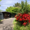 実際訪問したユーザーが直接撮影して投稿した菊名プール菊名池公園プールの写真