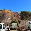 実際訪問したユーザーが直接撮影して投稿した高根町長澤道の駅道の駅 南きよさとの写真