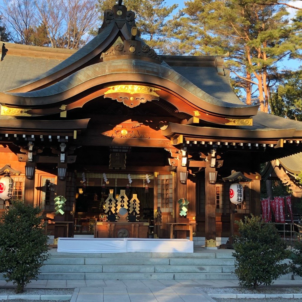 実際訪問したユーザーが直接撮影して投稿した柴崎町神社進雄神社の写真