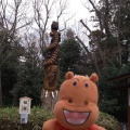 実際訪問したユーザーが直接撮影して投稿した桜台神社櫻木神社の写真