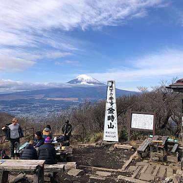 実際訪問したユーザーが直接撮影して投稿した仙石原山 / 峠金時山の写真