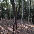 実際訪問したユーザーが直接撮影して投稿した木場美術館 / ギャラリー・画廊鹿児島県霧島アートの森の写真