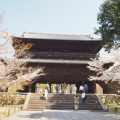 実際訪問したユーザーが直接撮影して投稿した南禅寺福地町寺南禅寺の写真