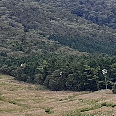 実際訪問したユーザーが直接撮影して投稿した岩立観光乗り物大山桝水高原観光リフトの写真