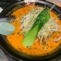 実際訪問したユーザーが直接撮影して投稿した玉沢ラーメン / つけ麺麺蔵さっぽろっこ トキハわさだ店の写真