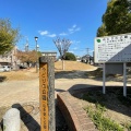 実際訪問したユーザーが直接撮影して投稿した山本公園みどりの公園の写真