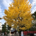 実際訪問したユーザーが直接撮影して投稿した西外側町神社大垣八幡神社の写真