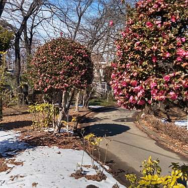 実際訪問したユーザーが直接撮影して投稿した棟高町公園堤下公園の写真