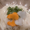 鴨つけうどん - 実際訪問したユーザーが直接撮影して投稿した中魚屋町カフェSNOOPY茶屋 京都・錦店の写真のメニュー情報