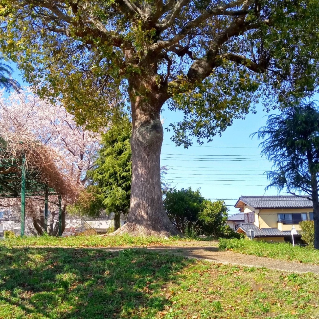 実際訪問したユーザーが直接撮影して投稿した平和台公園平和台1号公園の写真